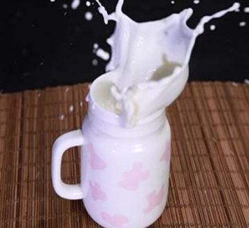 哞哞酸奶牛加盟图片