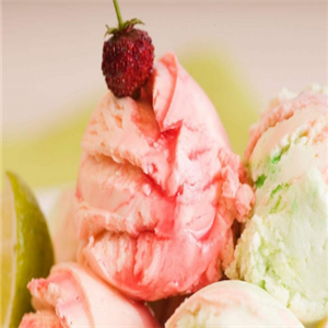 布乳斯佳冰淇淋加盟图片