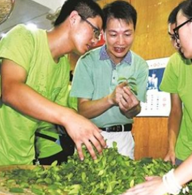 安溪茶业技术培训加盟图片