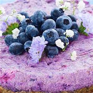 蓝莓可可蛋糕加盟实例图片