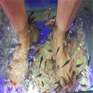 卡哇鱼足浴加盟实例图片