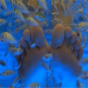 卡哇鱼足浴加盟图片
