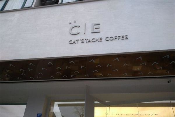 CE猫咖  Cats tache加盟