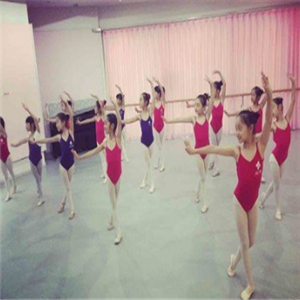 舞之源舞蹈培训中心加盟实例图片