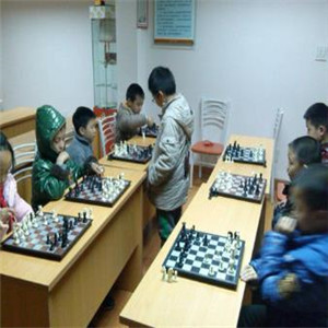 常青藤国际象棋加盟实例图片