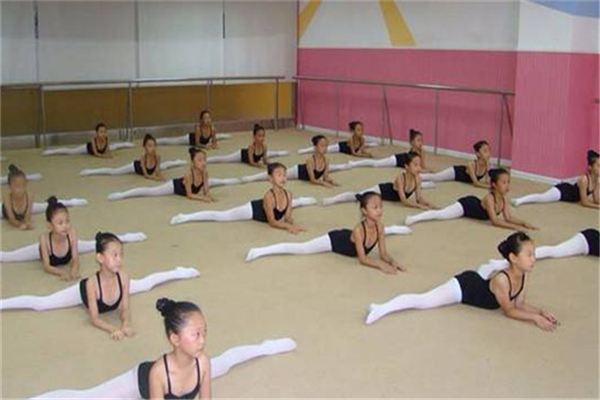 艺馨舞蹈培训中心加盟