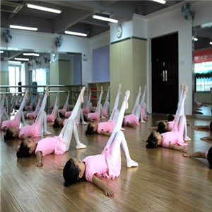 金芭蕾艺术培训中心加盟实例图片