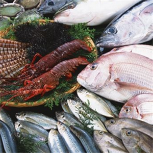 海鲜鱼市海鲜加盟实例图片