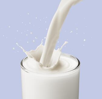 飞雁餐饮牛奶加盟图片