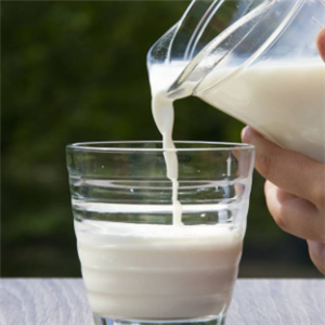 红原牦牛奶加盟图片