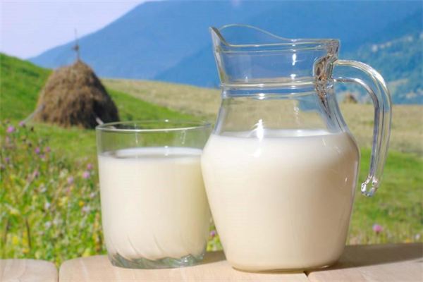 红原牦牛奶加盟