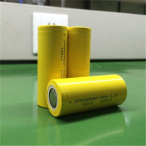 芯国威锂电池加盟图片