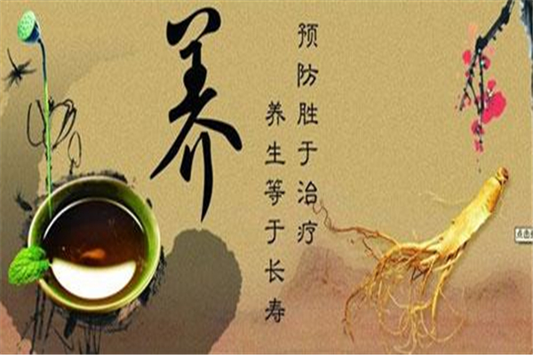 老谷頭養(yǎng)生酒加盟