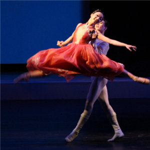 朱丽叶芭蕾舞蹈学校加盟实例图片
