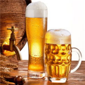 青雨啤酒加盟图片