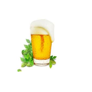 泸江啤酒加盟实例图片