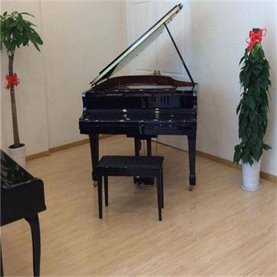 东梦钢琴培训机构加盟图片