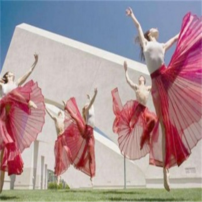 戴斯尔国际舞蹈艺术学校加盟实例图片