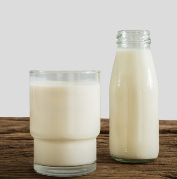 双喜牛奶加盟图片