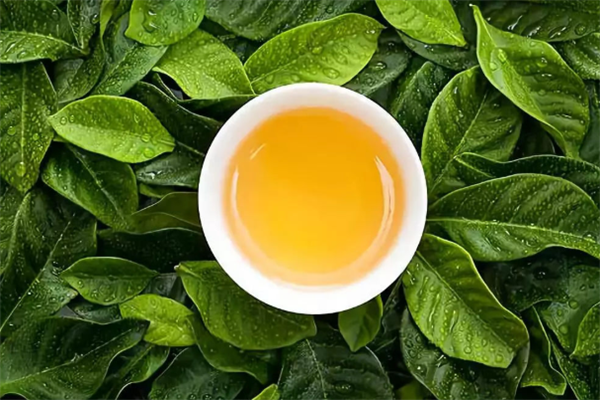 土林茶业加盟