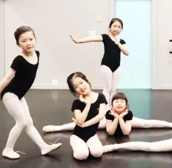  Little Swan Dance Training Center