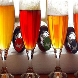 伯格士啤酒加盟实例图片