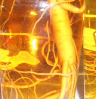 龟灵春酒加盟实例图片