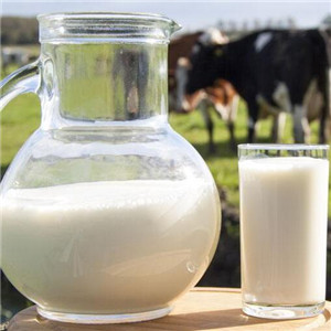 牛奶饮品诚邀加盟