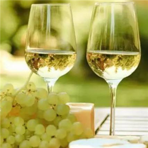 白葡萄酒加盟图片