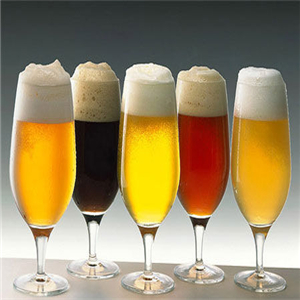 苦荞啤酒加盟案例图片