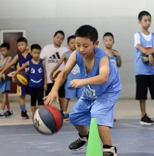 少儿篮球培训加盟案例图片