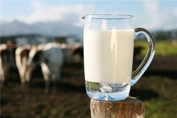 金贝牛奶在市场中热销