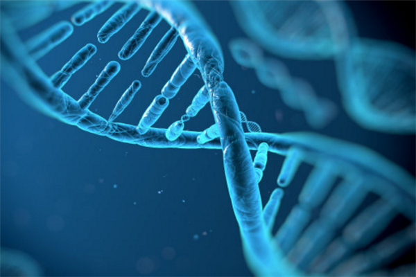 解码DNA基因检测加盟