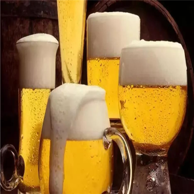 舌郎啤酒加盟案例图片