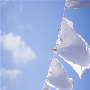 白猫洗衣粉加盟图片