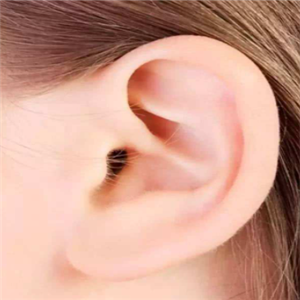 一耳一特色耳穴疗法