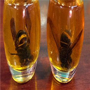 蜂针液蜂炙油加盟