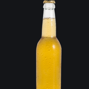 金贝啤酒加盟实例图片