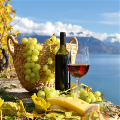 奥贺多拉葡萄酒加盟实例图片