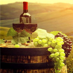 杜松干白葡萄酒加盟实例图片