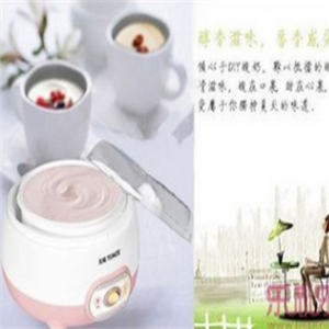 天际酸奶机加盟实例图片