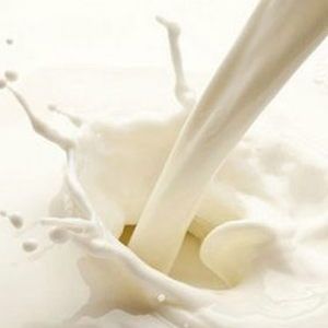 重庆一只酸奶牛加盟案例图片