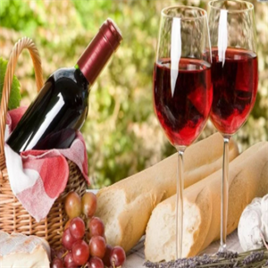 法国干红葡萄酒加盟实例图片