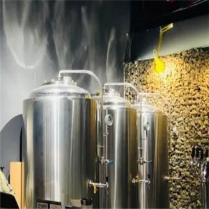泰山精酿啤酒加盟案例图片