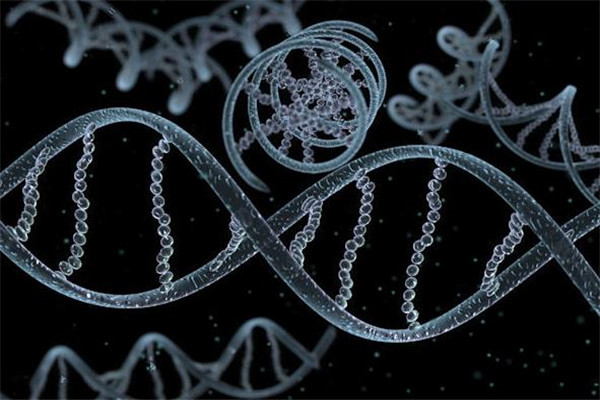 解码DNA加盟