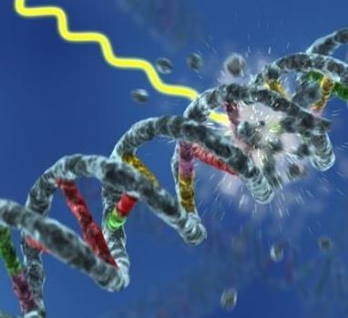解码DNA加盟图片