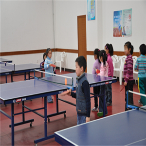 虹蓝乒乓球俱乐部加盟案例图片