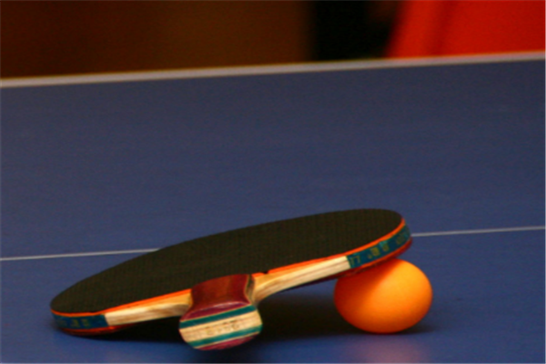 煜煜体育·羽毛球乒乓球培训加盟