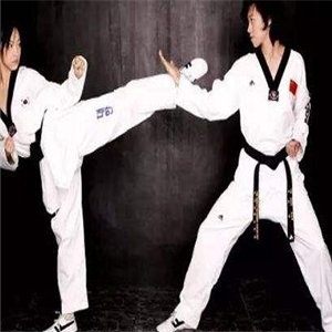真形武术馆·武术跆拳道培训加盟案例图片
