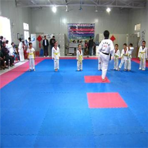 正东跆拳道运动成长中心加盟